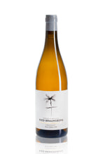 Laden Sie das Bild in den Galerie-Viewer, Empfehlung: Ried Braunsberg Grüner Veltliner Carnuntum DAC 2021