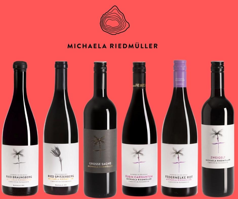 Top-Rotweinpaket – Carnuntum Selection