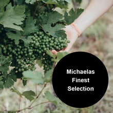 Laden Sie das Bild in den Galerie-Viewer, Geschenkgutscheine für Wein und Buschenschank